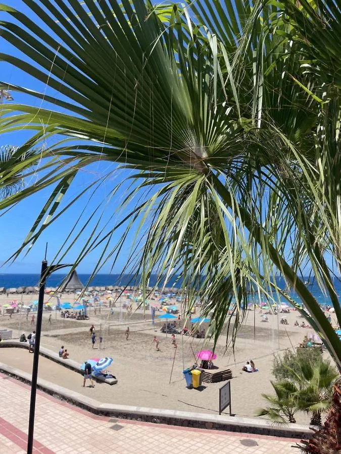 RentOnTheBeach Studio Los Cristianos  0*, Los Cristianos (Tenerife) Spanien